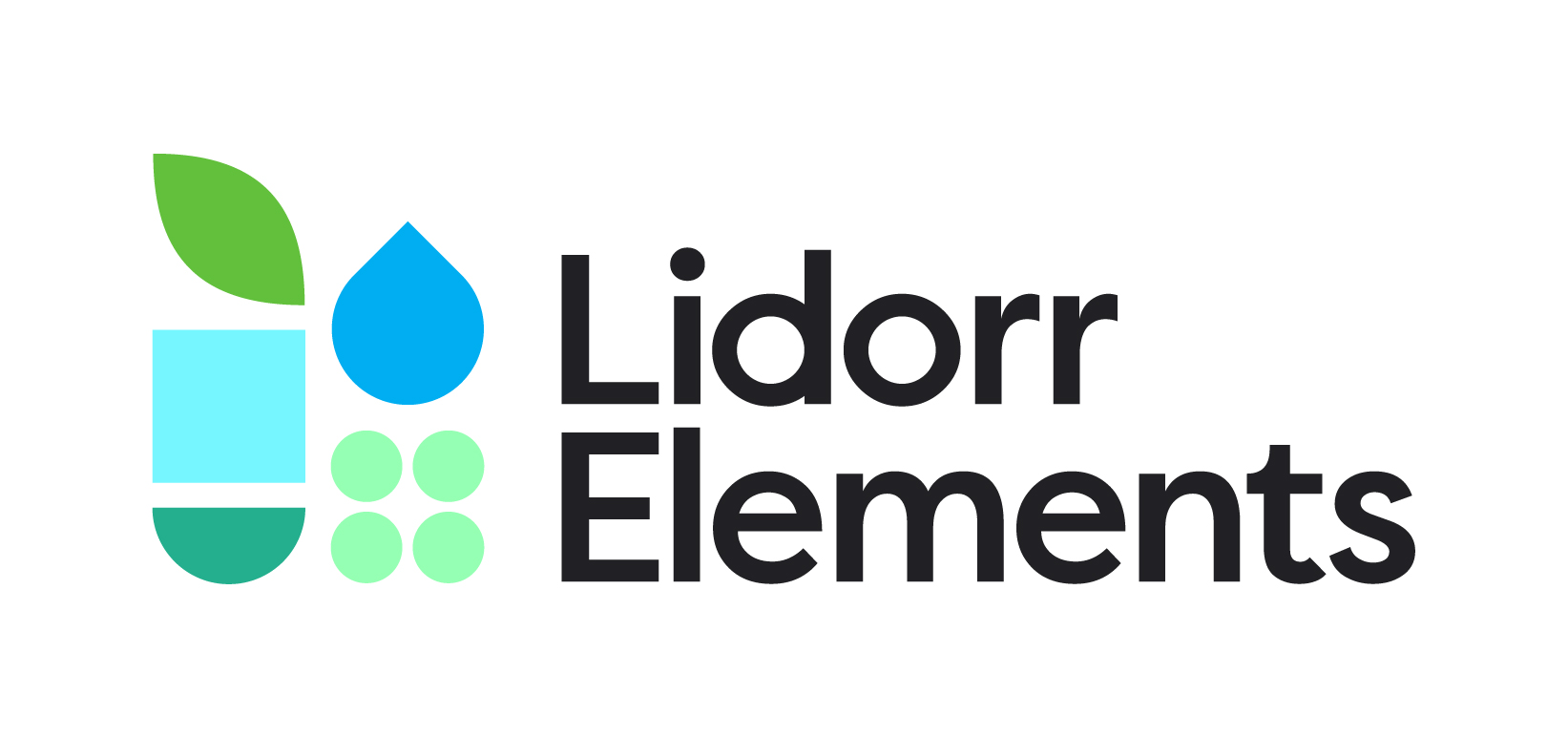 lidorr logo rgb 05